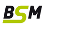 BSM Ingenieure GmbH & Co. KG